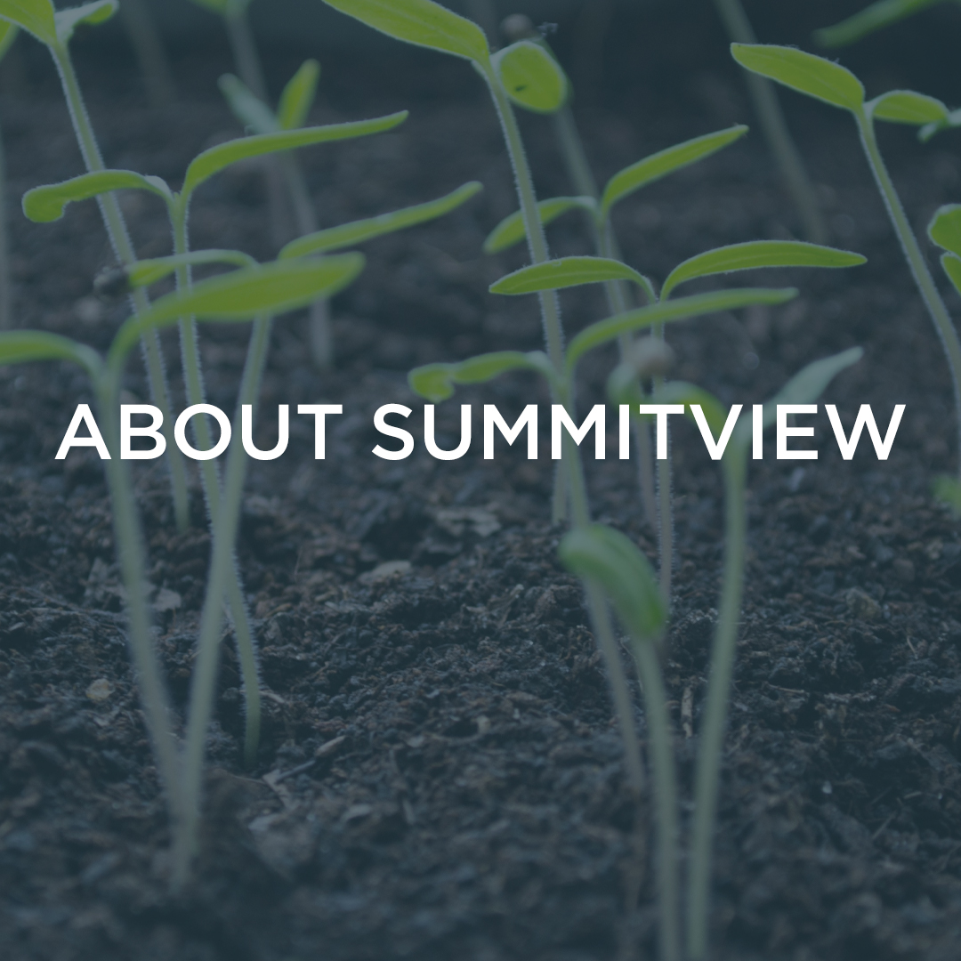 About Summitview